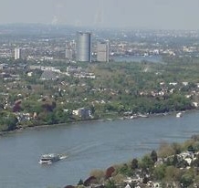Blick vom Drachenfels auf den Rhein